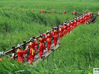 巨華小學腰鼓隊在勝芳濕地公園棧道排練