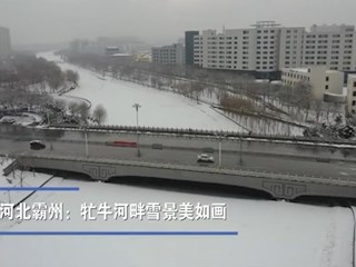 河北霸州：牤牛河畔雪景美如畫