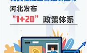 扎實穩定全省經濟運行 河北發布“1+20”政策體系