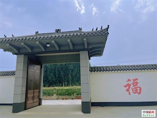 影像記錄丨河北廊坊霸州：“美麗庭院”扮靚鄉村幸福生活