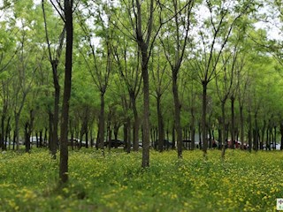 影像記錄丨河北廊坊霸州：街邊拾景（三）