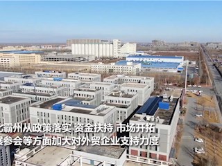 霸州：培育壯大外貿企業 激發經濟發展活力