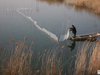 影像記錄丨河北廊坊霸州：古鎮風光（七）