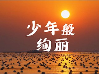 五四青年節“感人瞬間”主題微視頻——少年般絢麗