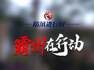 【防汛進行時 霸州在行動】排澇——火力全開 晝夜不停 