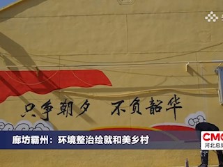 【全力打好災后恢復重建攻堅戰(zhàn)】廊坊霸州：環(huán)境整治繪就和美鄉(xiāng)村