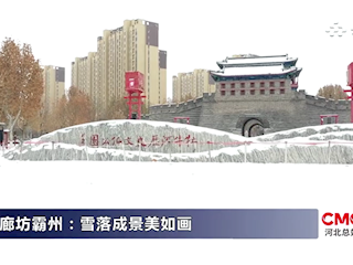 廊坊霸州：雪落成景美如畫