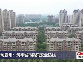 廊坊霸州：筑牢城市防汛安全防線