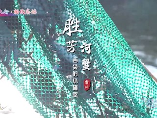 霸韻流光———勝芳河蟹