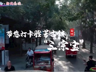 霸韻流光——帶您打卡勝芳古鎮“三宗寶”