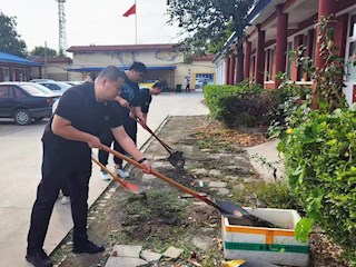 康仙莊鎮開展環境整治“潔”盡全力煥新顏