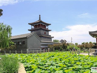 影像記錄丨河北霸州勝芳鎮建設：濕地公園水清岸綠景美