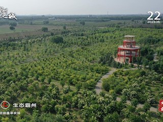 14個中國式現代化霸州場景之生態霸州